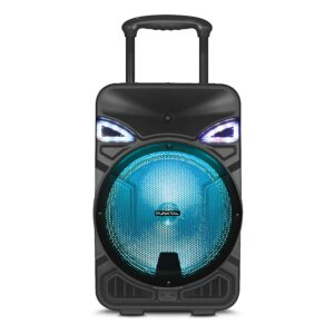 Parlante activo Punktal PK 012